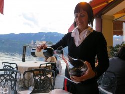 IMG_7235.JPG IMG_7235.JPG