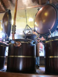 IMG_5681.JPG IMG_5681.JPG