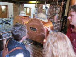 IMG_5686.JPG IMG_5686.JPG