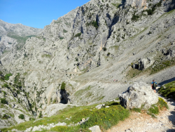 1595825715559.png 1595825715559.png