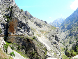 1595825750276.png 1595825750276.png