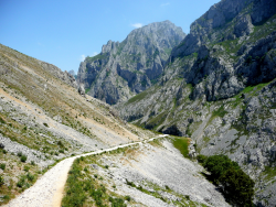 1595825780177.png 1595825780177.png