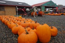 DSC09241.JPG DSC09241.JPG