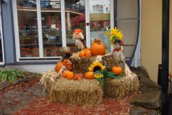 DSC09502.JPG DSC09502.JPG