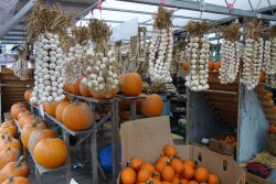 DSC09767.JPG DSC09767.JPG