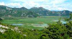 1595989887749.png 1595989887749.png