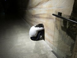 IMG_6049.JPG IMG_6049.JPG