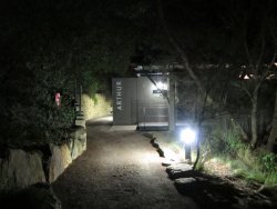 IMG_6006.JPG IMG_6006.JPG