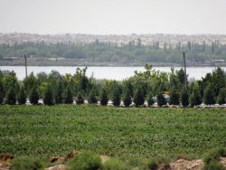 DSC04635.JPG DSC04635.JPG