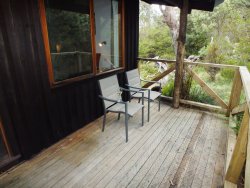 DSCF1969.JPG DSCF1969.JPG