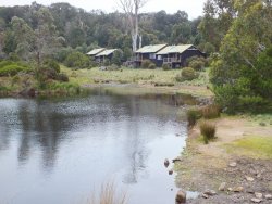 DSCF2005.JPG DSCF2005.JPG