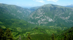 1596261072270.png 1596261072270.png