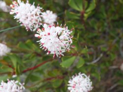 DSCF1995.JPG DSCF1995.JPG