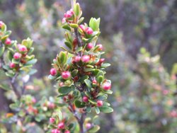 DSCF2002.JPG DSCF2002.JPG