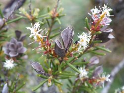 DSCF2004.JPG DSCF2004.JPG