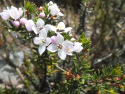 DSCF2048.JPG DSCF2048.JPG