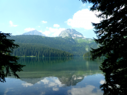 1596336673267.png 1596336673267.png