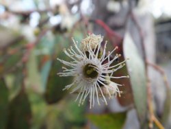 DSCF2111.JPG DSCF2111.JPG