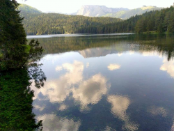 1596336726614.png 1596336726614.png