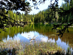 1596336790755.png 1596336790755.png