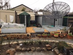 CB579919-B4BD-4F16-8F77-8C96409A7D93.jpeg CB579919-B4BD-4F16-8F77-8C96409A7D93.jpeg