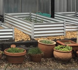 319568AC-D7AE-4EBC-9FC3-894A6DC7F658.jpeg 319568AC-D7AE-4EBC-9FC3-894A6DC7F658.jpeg