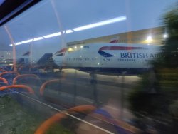 IMG_20200816_052503.jpg IMG_20200816_052503.jpg