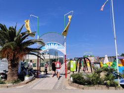 IMG_20200816_150742.jpg IMG_20200816_150742.jpg