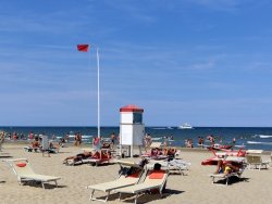 IMG_20200816_151126.jpg IMG_20200816_151126.jpg