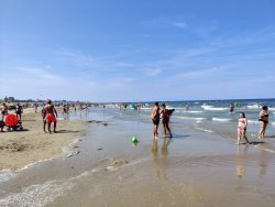 IMG_20200816_151329.jpg IMG_20200816_151329.jpg