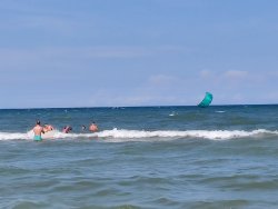 IMG_20200816_152120.jpg IMG_20200816_152120.jpg