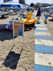 IMG_20200816_152612.jpg IMG_20200816_152612.jpg