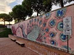 IMG_20200816_191300.jpg IMG_20200816_191300.jpg