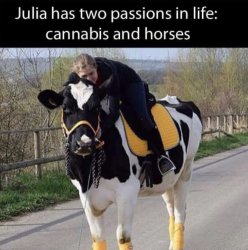 7A09F45B-ACCF-4539-8C15-1C4534DA15C6.jpeg 7A09F45B-ACCF-4539-8C15-1C4534DA15C6.jpeg