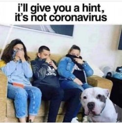 A63ACD4D-F425-4802-8C15-31A1D75F1172.jpeg A63ACD4D-F425-4802-8C15-31A1D75F1172.jpeg