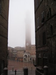 IMG_5000_2.JPG IMG_5000_2.JPG