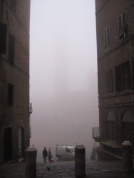 IMG_5000_3.JPG IMG_5000_3.JPG