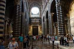 DSC08338.JPG DSC08338.JPG