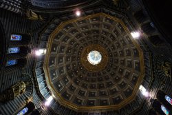 DSC08341.JPG DSC08341.JPG