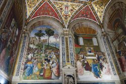 DSC08361.JPG DSC08361.JPG