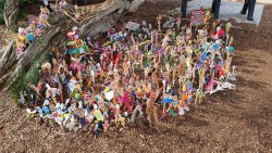 20200819_144133.jpg 20200819_144133.jpg