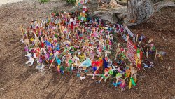 20200819_144143.jpg 20200819_144143.jpg