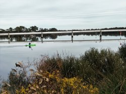 Bike20.jpg Bike20.jpg