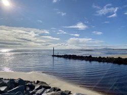 97411982-3B03-4DFE-9092-F7813F2CEE93.jpeg 97411982-3B03-4DFE-9092-F7813F2CEE93.jpeg