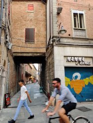 IMG_20200819_194626.jpg IMG_20200819_194626.jpg