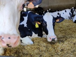 IMG_20200822_083539.jpg IMG_20200822_083539.jpg