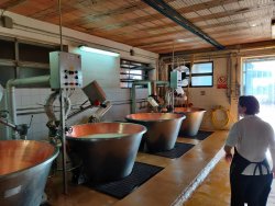 IMG_20200822_090235.jpg IMG_20200822_090235.jpg