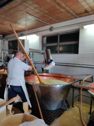 IMG_20200822_091620.jpg IMG_20200822_091620.jpg