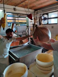 IMG_20200822_093027.jpg IMG_20200822_093027.jpg