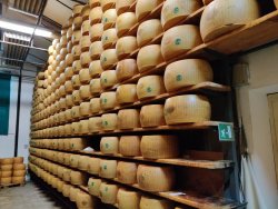 IMG_20200822_094821.jpg IMG_20200822_094821.jpg